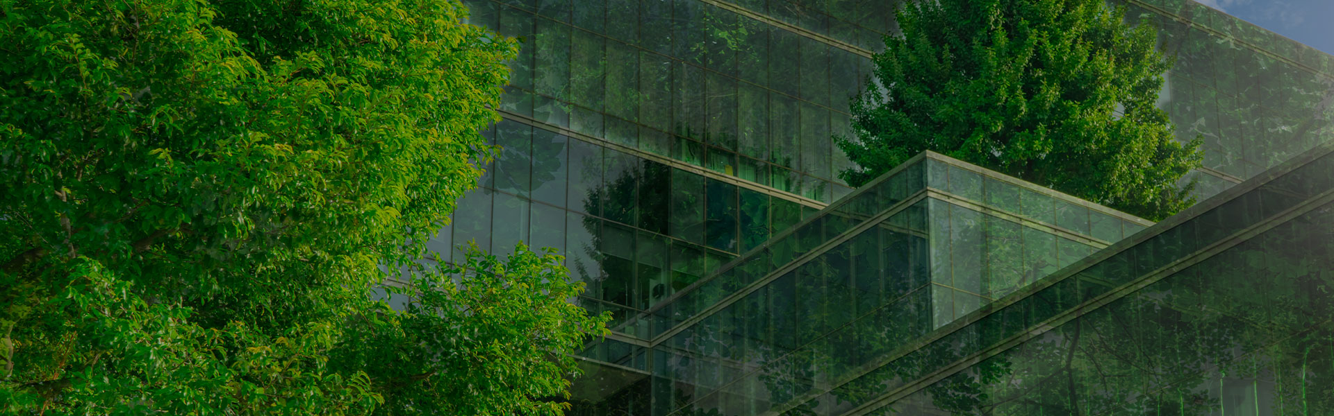 Glasgebäude mit Bepflanzung Glasgebäude mit Bepflanzung