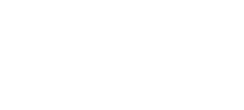 Logo Norma